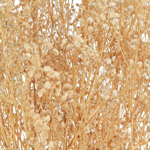 Produkt Gypsophila Bratek Gipsowy Ziele Kwiaty Białe 50cm 55g