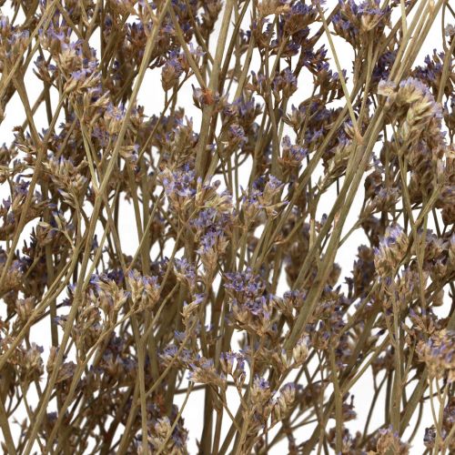 Produkt Plaża Liliowy Limonium Suszone Kwiaty Fioletowe 70cm 50g