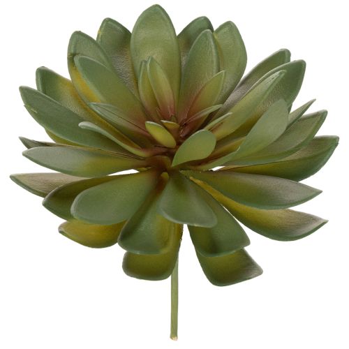 Produkt Sztuczny sukulent jako roślina ozdobna, zielony, 18cm, 3 sztuki