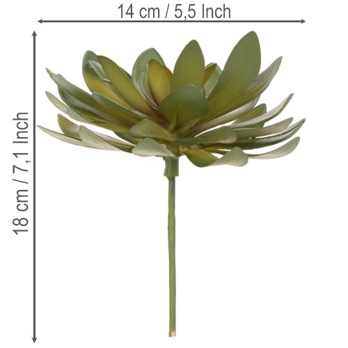 Produkt Sztuczny sukulent jako roślina ozdobna, zielony, 18cm, 3 sztuki
