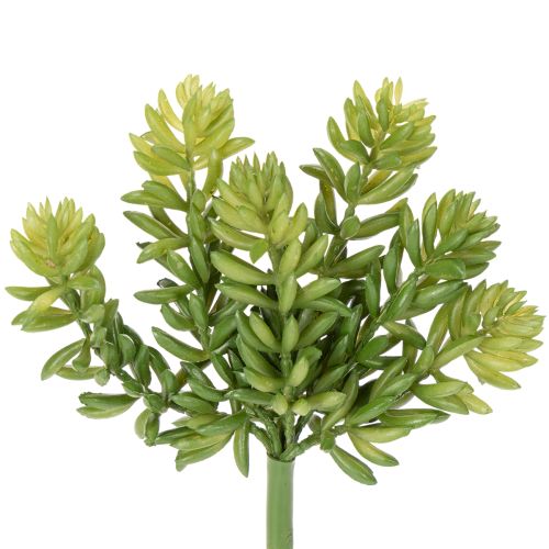 Produkt Sztuczny sukulent do aranżacji pomieszczeń mieszkalnych i biurowych wymagających niewielkiej pielęgnacji, 15 cm, 6 szt.