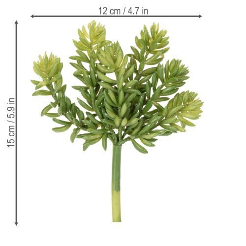 Produkt Sztuczny sukulent do aranżacji pomieszczeń mieszkalnych i biurowych wymagających niewielkiej pielęgnacji, 15 cm, 6 szt.