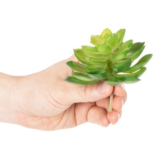 Produkt Sztuczna roślina sukulent, zielona, do dekoracji w misce lub wazonie, 10 cm, 4 sztuki