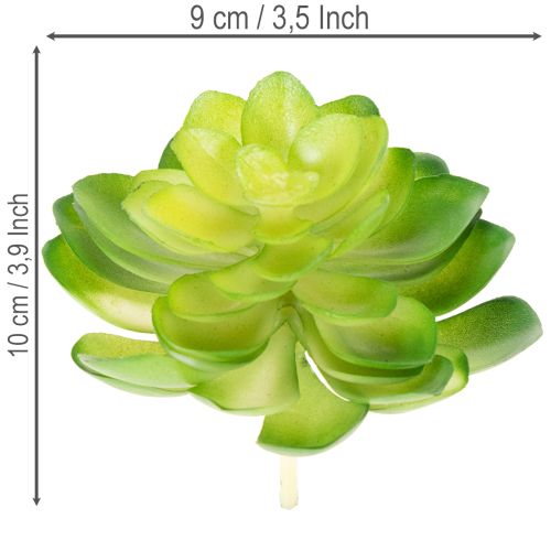 Produkt Sztuczna roślina sukulent, zielona, do dekoracji w misce lub wazonie, 10 cm, 4 sztuki