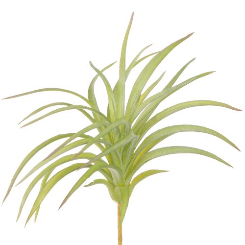 Tillandsia Zielone Sztuczne Rośliny z Patyczkiem Ø17cm 3szt