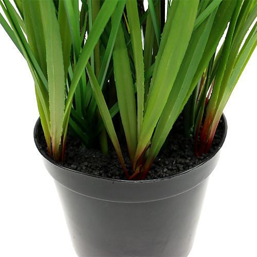 Floristik24 Tulipany w żółtej doniczce 30cm