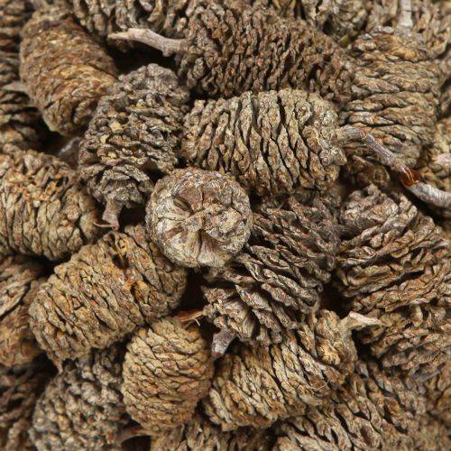 Produkt Kula stożkowa do zawieszania szyszek olchowych bielonych 12cm