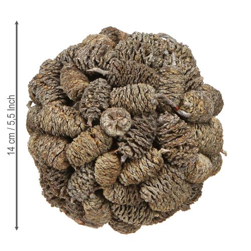 Produkt Kula stożkowa do zawieszania szyszek olchowych bielonych 12cm