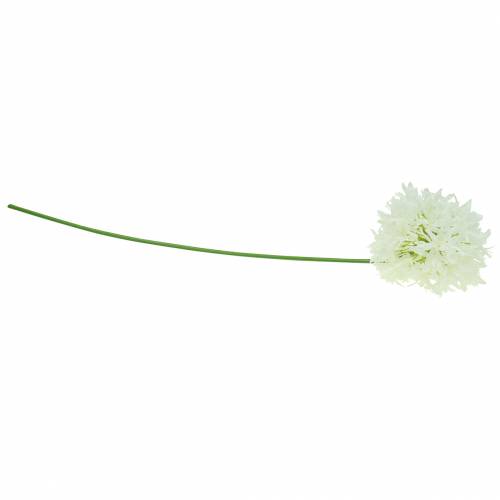 Produkt Allium ozdobne sztuczne białe Ø12cm H62cm