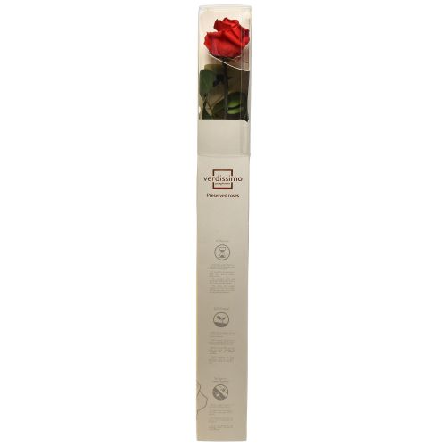 Produkt Róża Nieskończoności z Zachowanymi Liśćmi Amorosa Czerwona L54cm