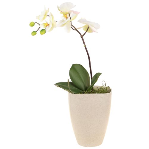 Orchidea doniczka plastikowa beżowa nakrapiana 13,5x13cm wys. 16,5cm 4szt