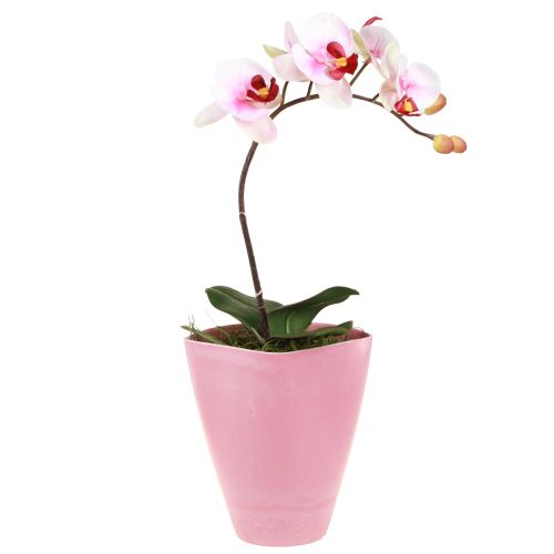 Doniczka Wazon plastikowy Orchidea Doniczka Różowa W16,5cm 4szt