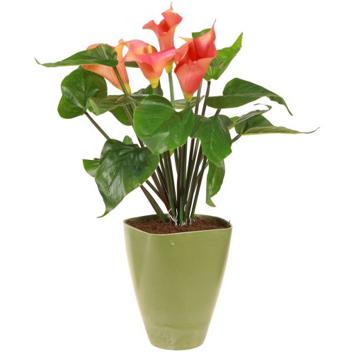 Produkt Orchidea doniczka wazon plastikowy zielony wys. 16,5cm 4szt