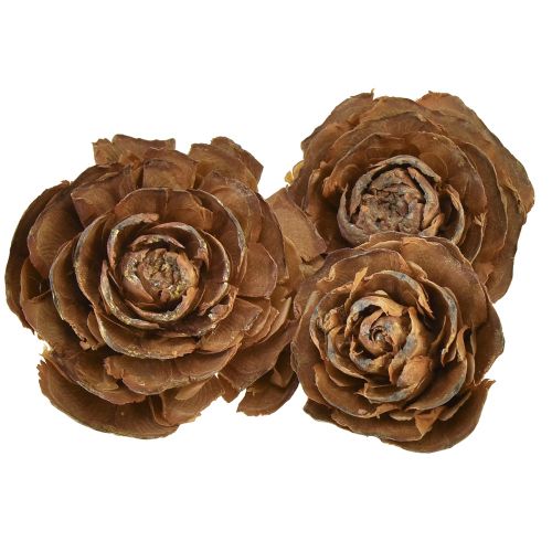 Szyszki cedru wycięte w kształcie róży róży cedrowej 4-6cm naturalne 50szt.