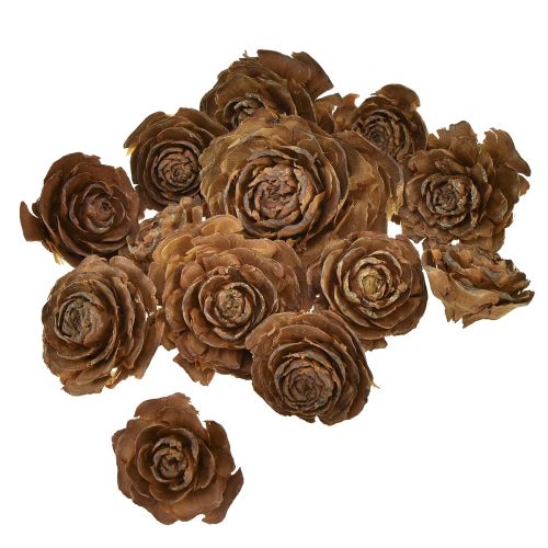 Produkt Szyszki cedru wycięte w kształcie róży róży cedrowej 4-6cm naturalne 50szt.