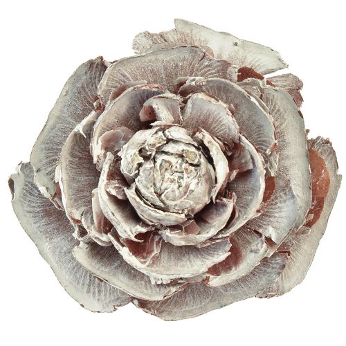 Produkt Szyszki cedrowe cięte jak róża róża cedrowa 4-6cm białe/naturalne 50 sztuk