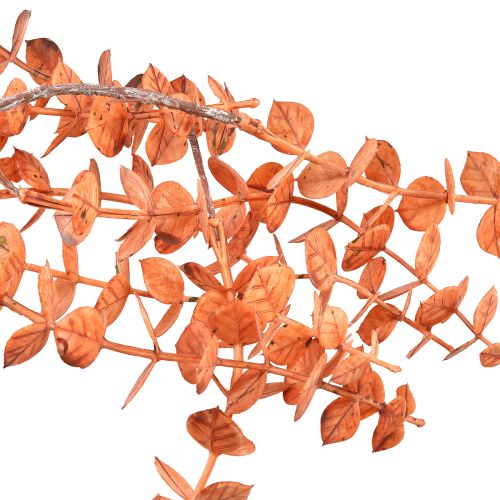 Produkt Wieszak ze sztucznego eukaliptusa Jesienny eukaliptus pomarańczowy 150cm