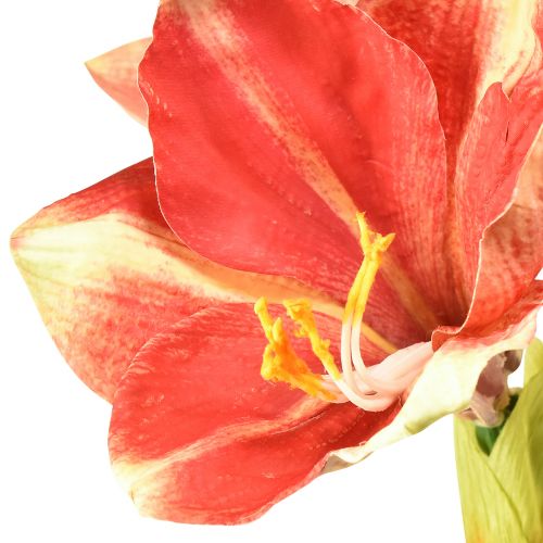 Produkt Sztuczny amarylis różowy i kremowy – duży kwiat na łodydze 76cm