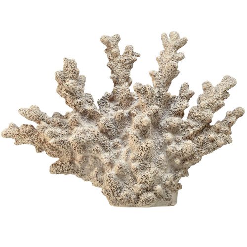 Produkt Szczegółowa dekoracja koralowa wykonana z żywicy poliestrowej w kolorze szarym - 26 cm - morska elegancja dla Twojego domu