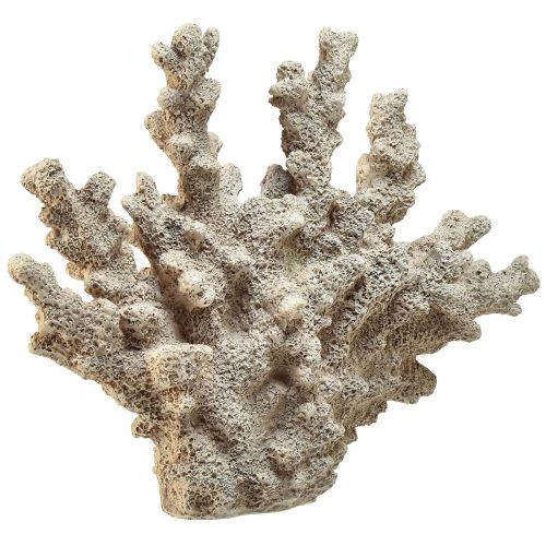 Produkt Szczegółowa dekoracja koralowa wykonana z żywicy poliestrowej w kolorze szarym - 26 cm - morska elegancja dla Twojego domu