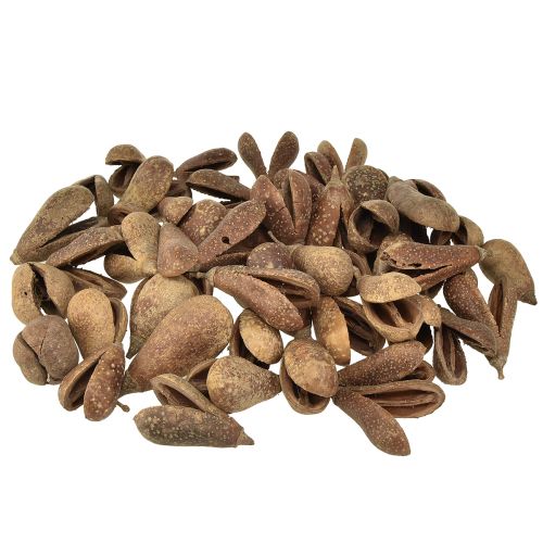 Produkt Mike Fruit Natural Materials Bagon Fruit Natural 8cm 50 szt