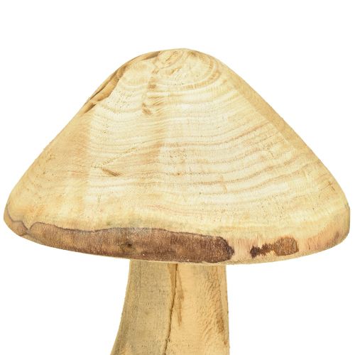 Produkt Naturalny grzyb dekoracyjny z drewna wiązu - rustykalny wzór, 27 cm - urocza dekoracja ogrodu