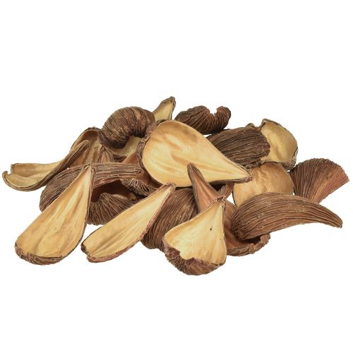 Produkt Strąki owoców i nasion Pradeep Pods 9-12 cm naturalne 50szt.