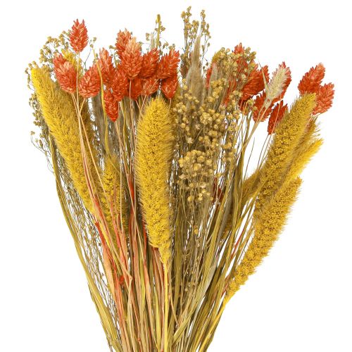 Bukiet suszonych kwiatów o ziarnie pomarańczowo-żółtym 50cm