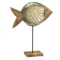 Floristik24 Drewniana metalowa rybka ozdobna morska mosiądz 33x11,5x37cm