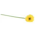 Floristik24 Sztuczne Kwiaty Gerbera Sun Żółty Kwiat Ogrodowy 47cm
