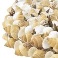Floristik24 Wianek z muszelek ślimaków morskich w kolorze naturalnym białym Ø35cm