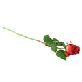 Floristik24 Kwiat jedwabiu z gałęzi róży Sztuczna róża czerwona 72cm