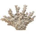 Floristik24 Szczegółowa dekoracja koralowa wykonana z żywicy poliestrowej w kolorze szarym - 26 cm - morska elegancja dla Twojego domu