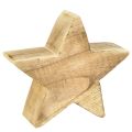 Floristik24 Rustykalna gwiazda dekoracyjna z drewna paulowni - wygląd naturalnego drewna, 25x8 cm - wszechstronna dekoracja pokoju